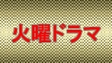 火曜ドラマ「カンナさーん！」　第１話♪（　´θ｀）ノ渡辺