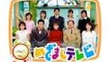 めざましテレビ【営業再開のイルカショー生中継！】