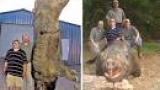 世界の超Ｓ級危険生物４